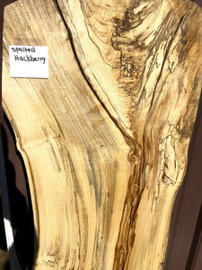 Spalted Hackberry